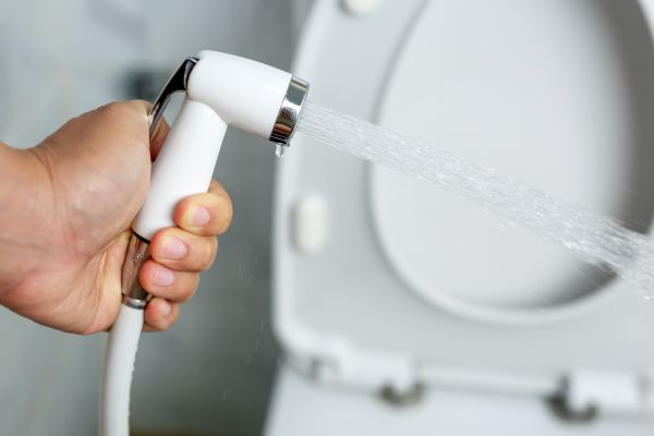 Bidet Installation in Whittier