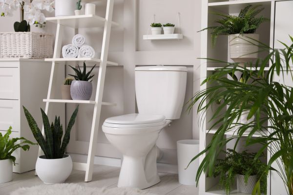 Toilet Repair in Whittier