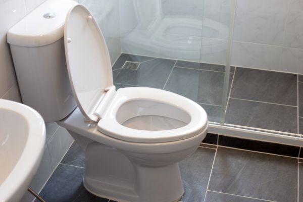 Toilet Replacement in Whittier