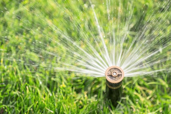 Cost of Spigot Installation in Whittier