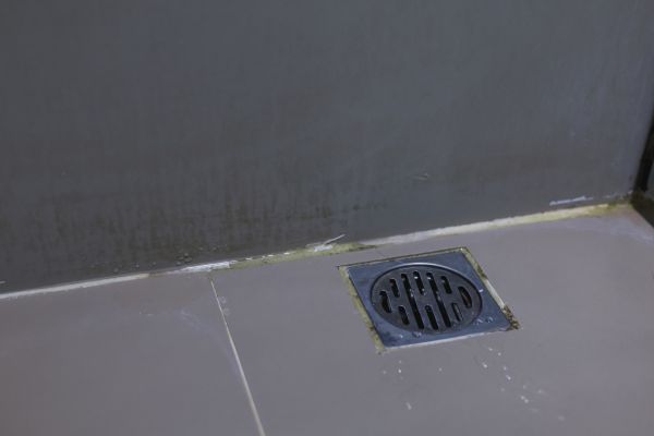 Bathroom Drain Installation in Whittier