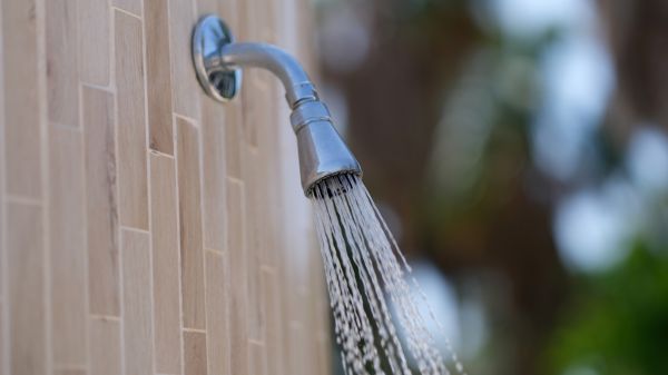 Cost of Showerhead Repair in Whittier