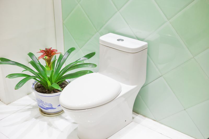 Toilet Installation Service